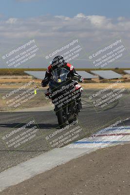media/Nov-03-2024-TrackDaz (Sun) [[44580f4982]]/C Group/1240pm (Wheelie Bump)/